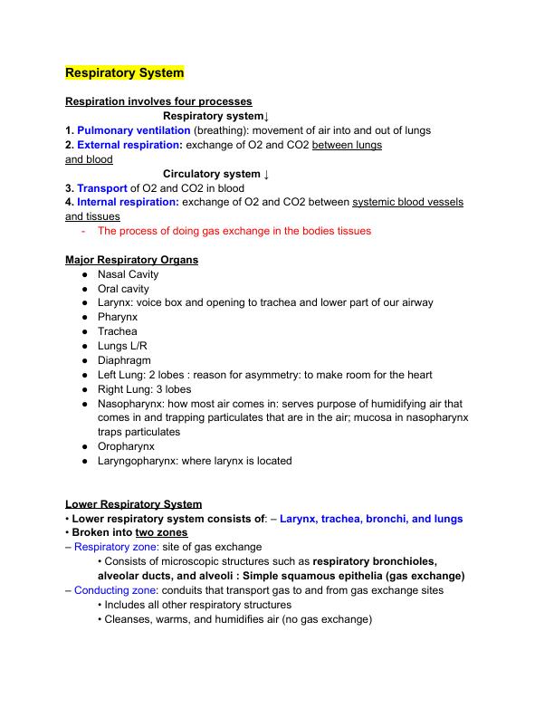Respiratory System Respiration involves four processes