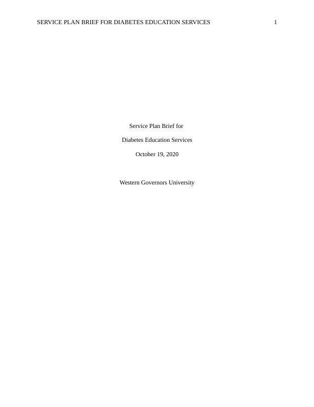 Service Plan Brief D030