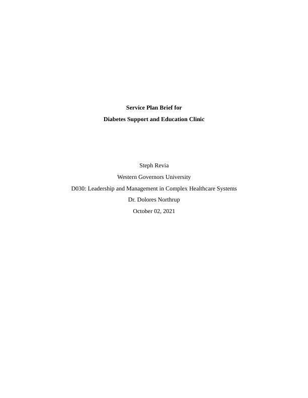 D030 Service Plan Brief Diabetes Final