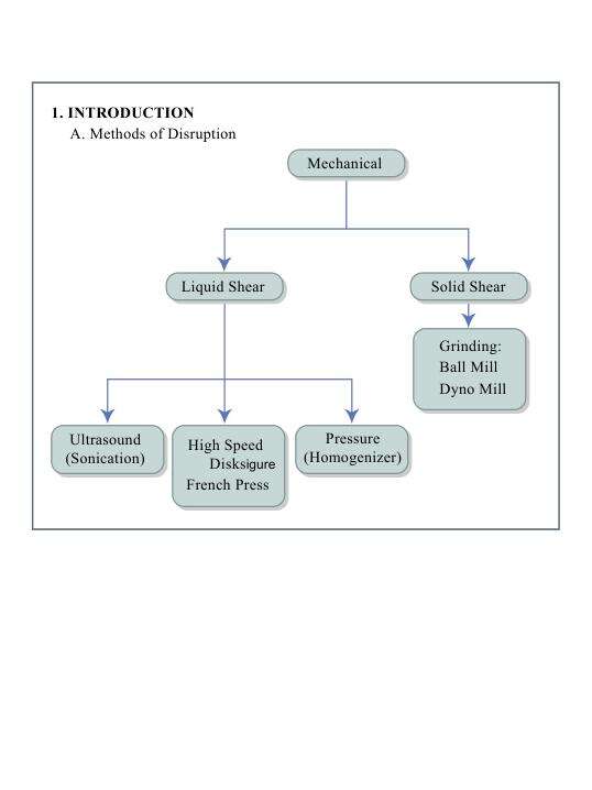 Biochemical Reaction Lecture Notes-1