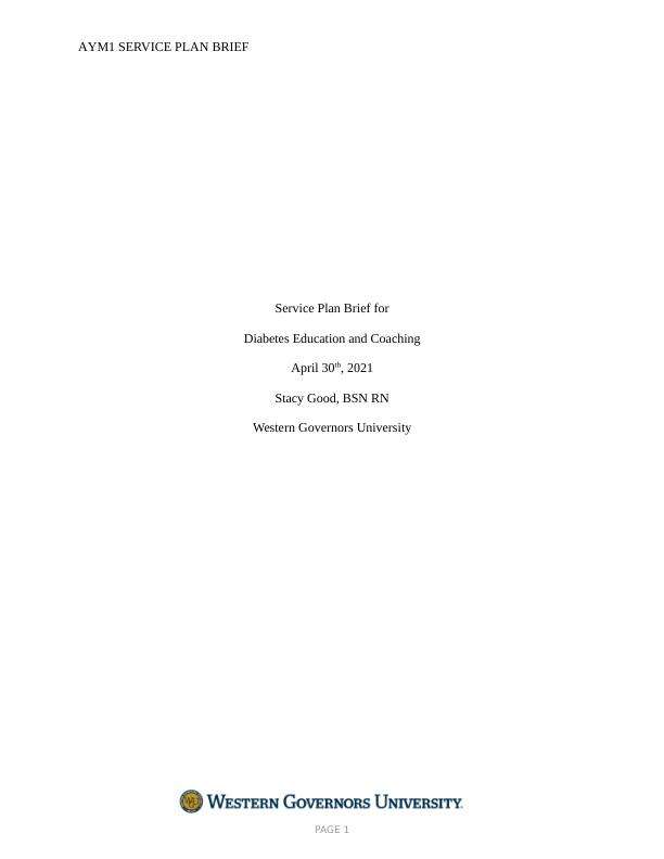D030 Service Plan Brief New
