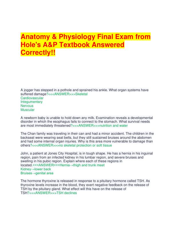 Anatomy